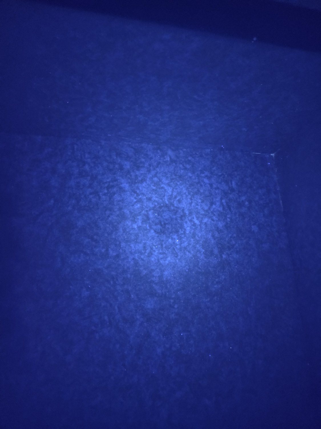 Inside a brand-new master bedroom cabinet in the Taman Wahyu unit under ultraviolet light, a circular bloom of residue consistent with mould