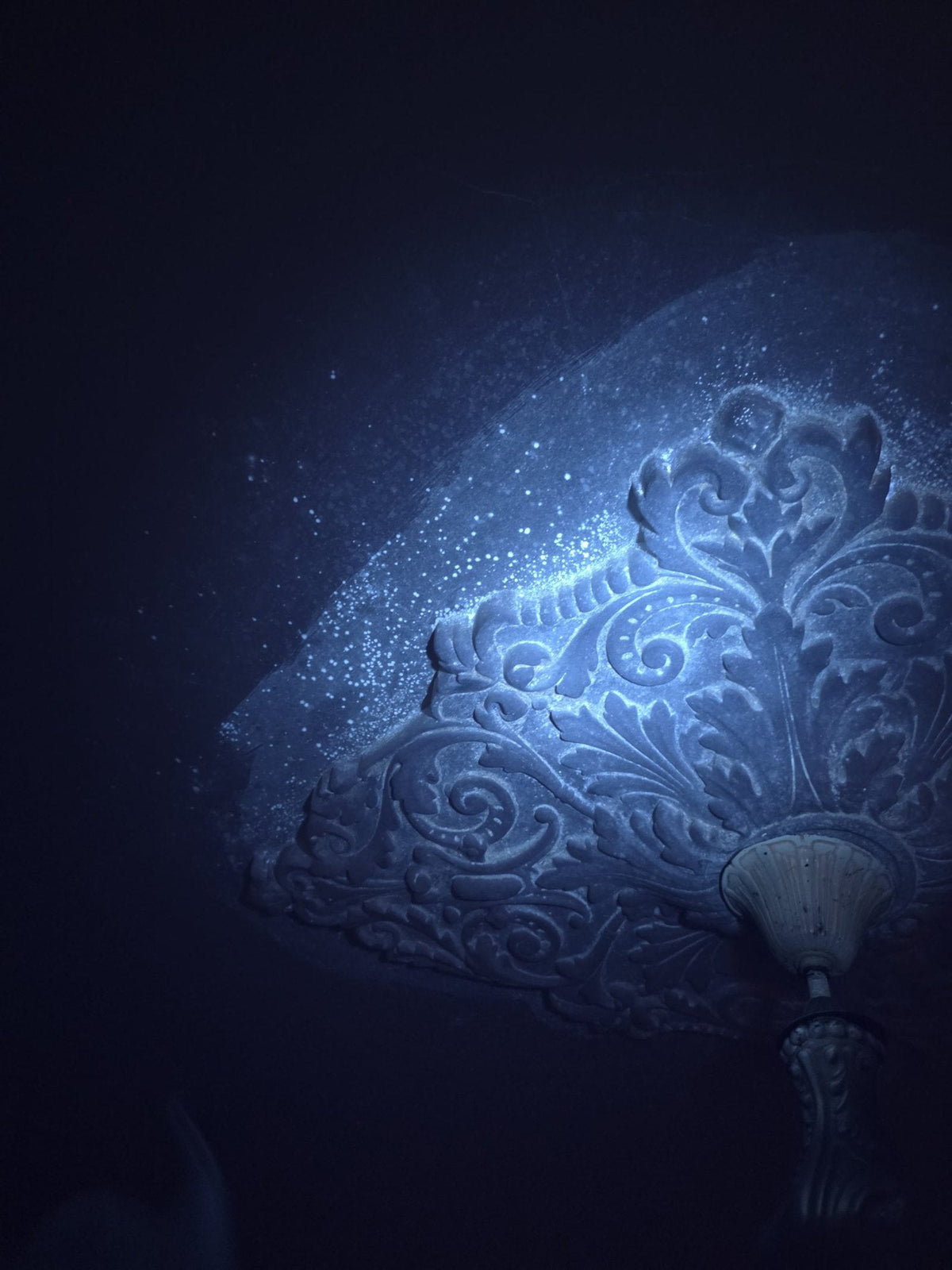 A bloom of mould fluorescing under ultraviolet light across a ceiling and around the ornamental ceiling rose in the Subang Jaya house