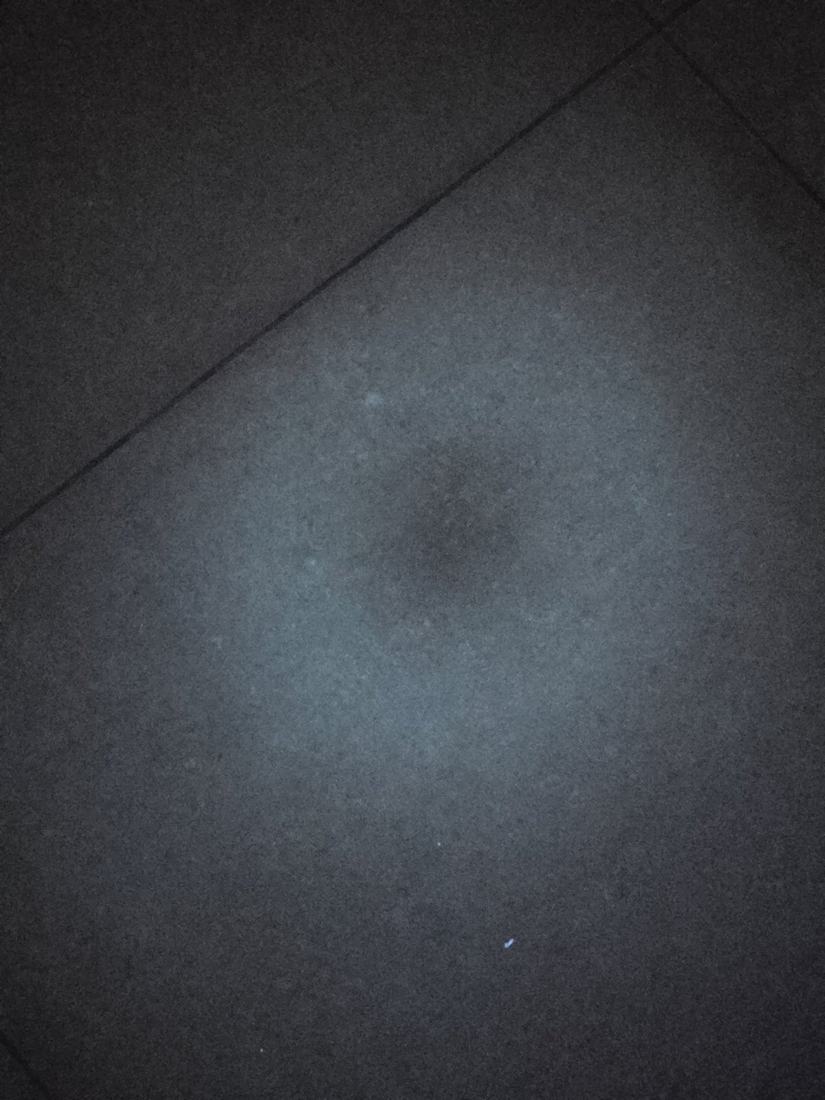 A circular bloom consistent with mould on a floor tile in the Chan Sow Lin apartment, spreading from the grout line