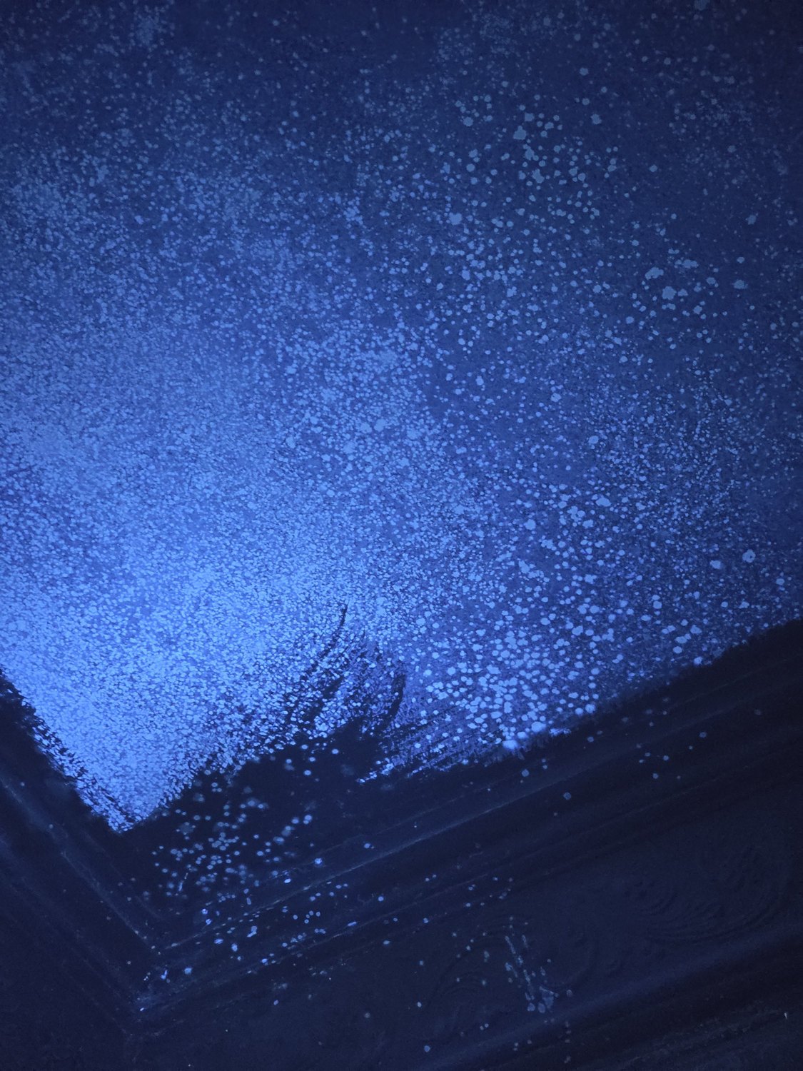 Mould spreading across a bedroom ceiling and into the wall junction of the Rawang terrace house, fluorescing under ultraviolet light