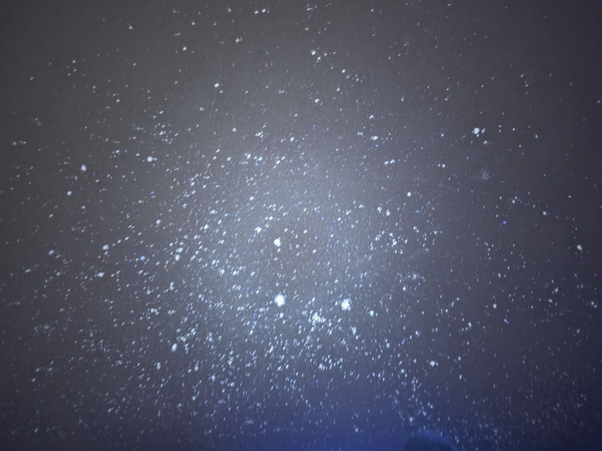 The living-room wall of the Damansara Utama unit under ultraviolet light, a star-field pattern of spore deposition across the whole surface
