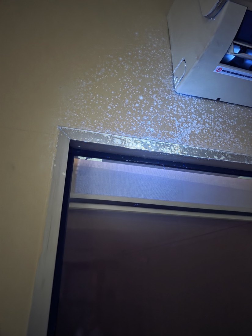 The corner above a door in the Sri Hartamas office under ultraviolet light, heavy fluorescence across the lintel beside the air-conditioning unit