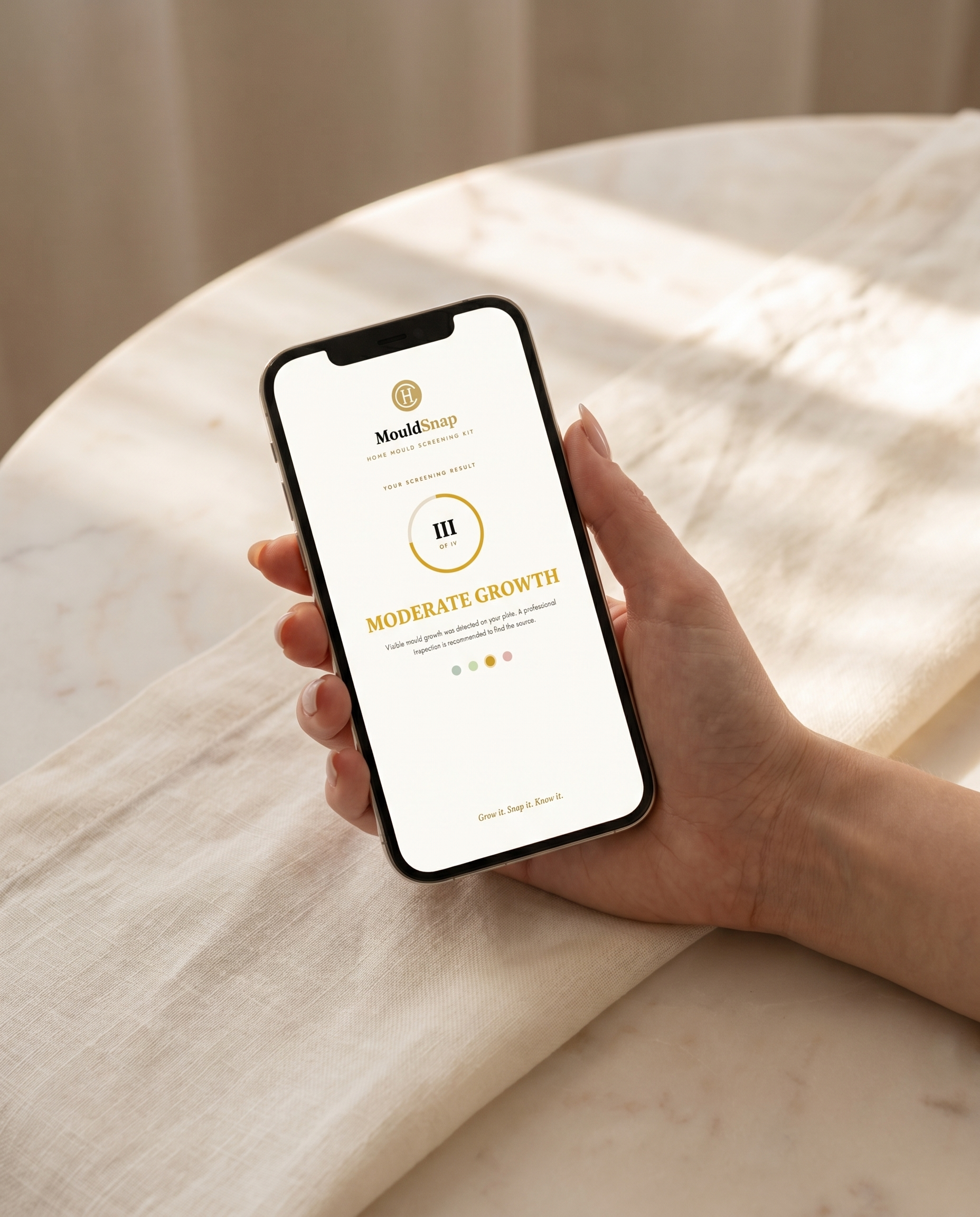 The MouldSnap premium written report